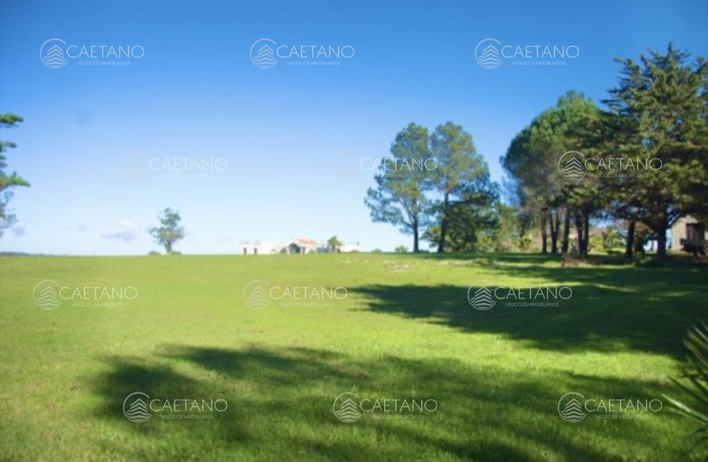 Chacra importante en R. 39 con 700 m2.