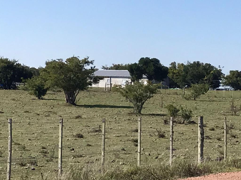 Buen predio rural, 24 héctareas a 600 m Ruta 5, KM 50.