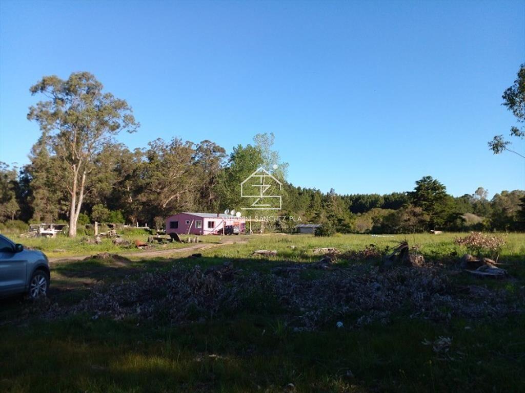 Chacra en La Pataia con mejoras