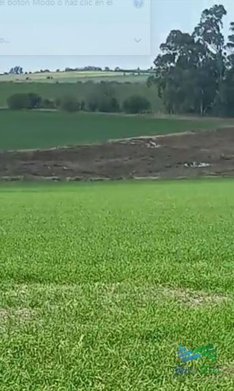 Excelente ubicación, Campo Mixto a poca de todo