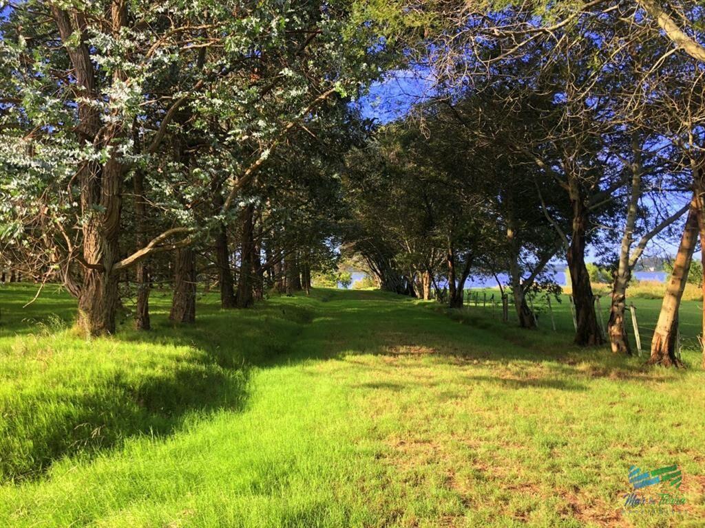 Venta de gran terreno en Laguna de los Cisnes