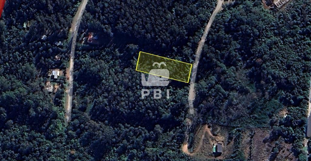 Terreno en Las Cumbres, Punta Ballena - Ref : PBI13299