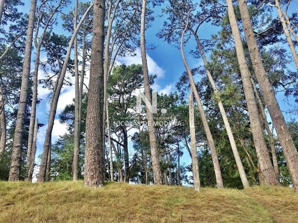 Terreno en venta Cantegril