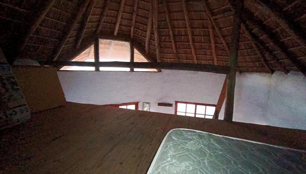 Venta - Campo de 5,6 hectáreas - A 8 km de Atlantida
