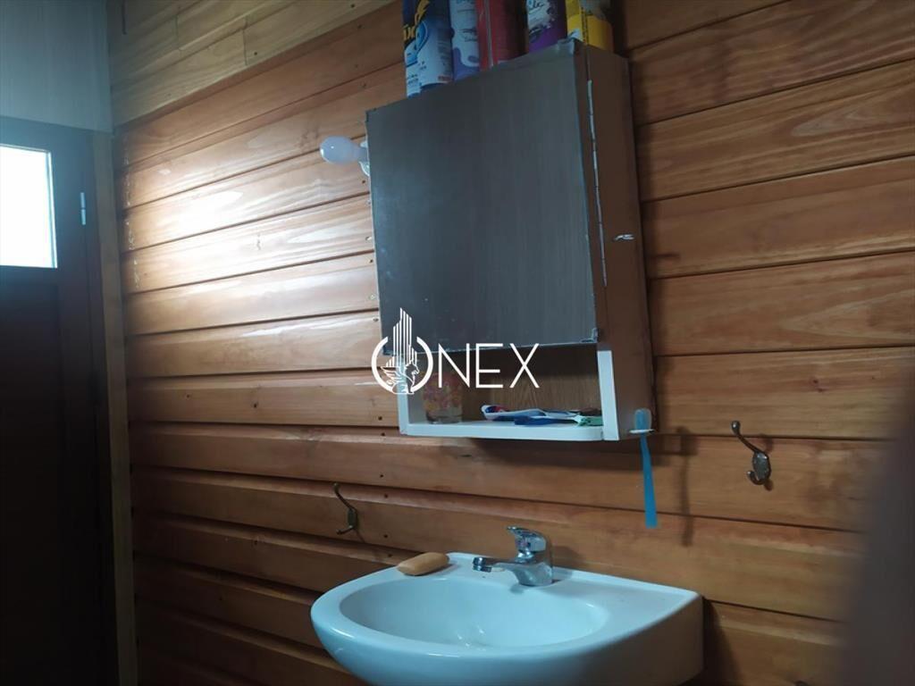 VENDO TERRENO GRANDE + CABAÑA GUAZUVIRÁ