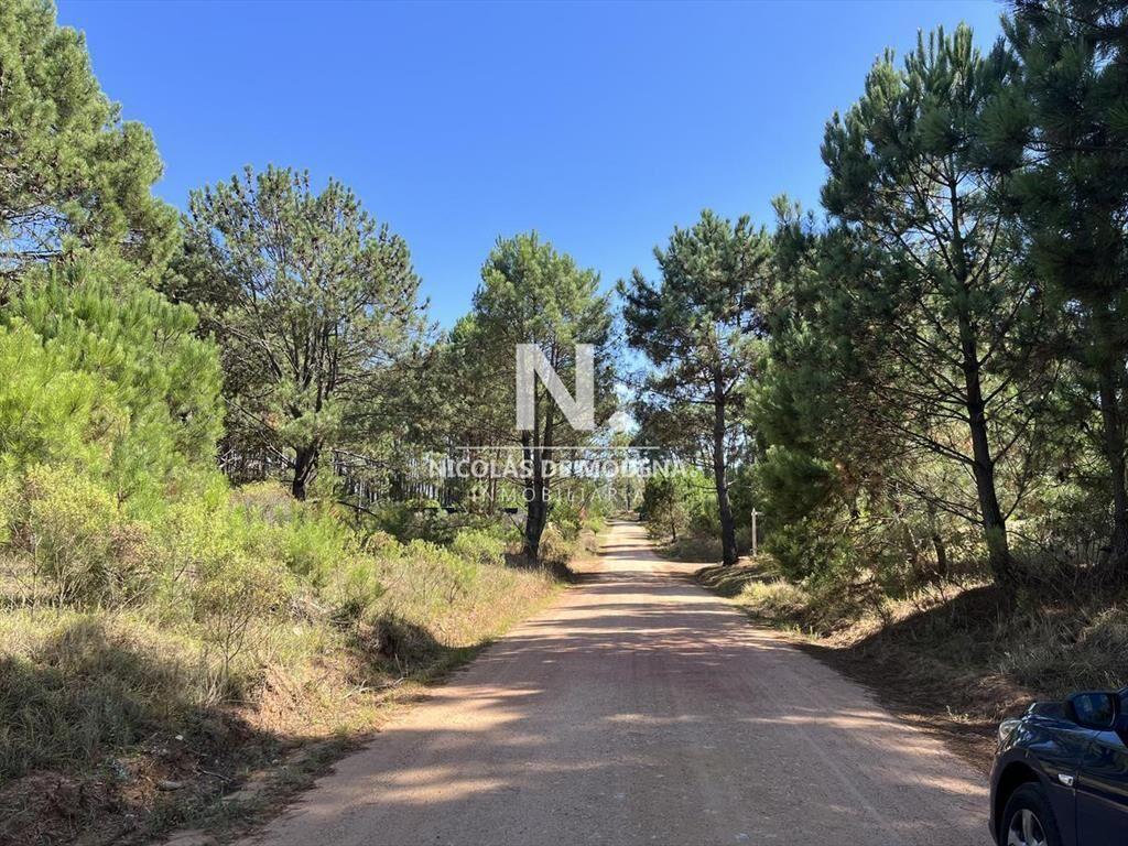 Terreno en venta en La Barra, rodeado de bellos