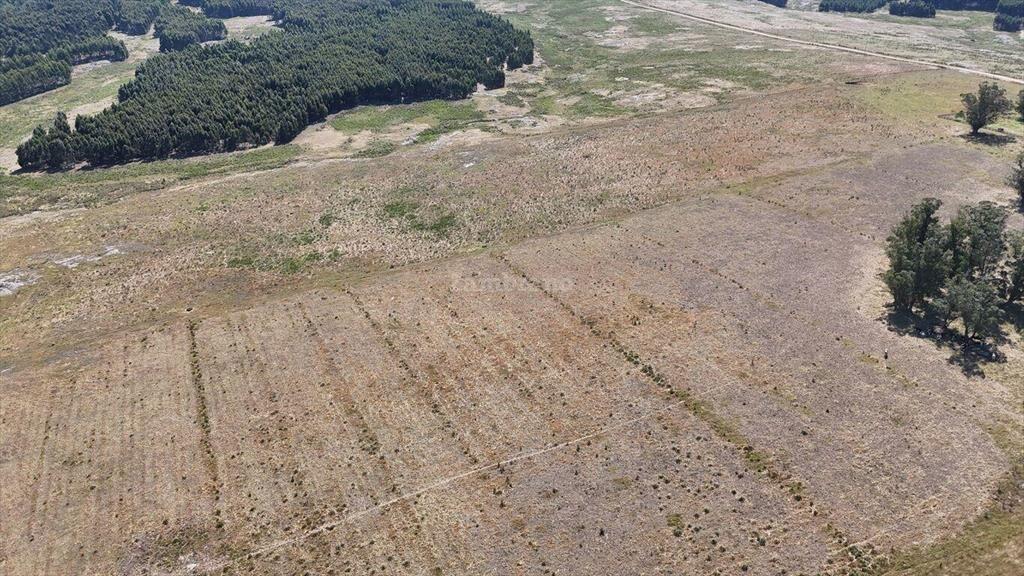 Campo Ganadero en Maldonado
