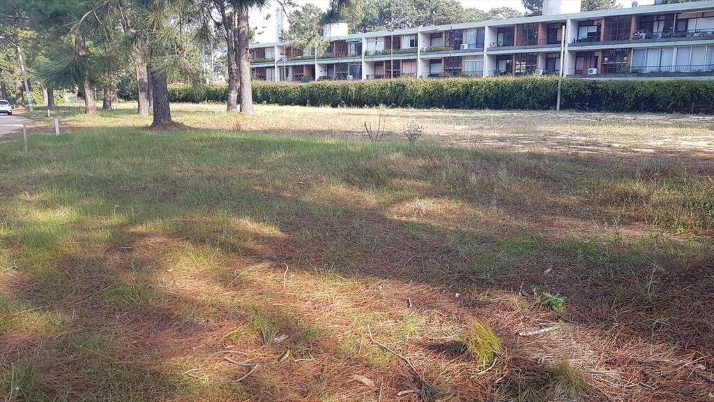 Terreno en Cantegril