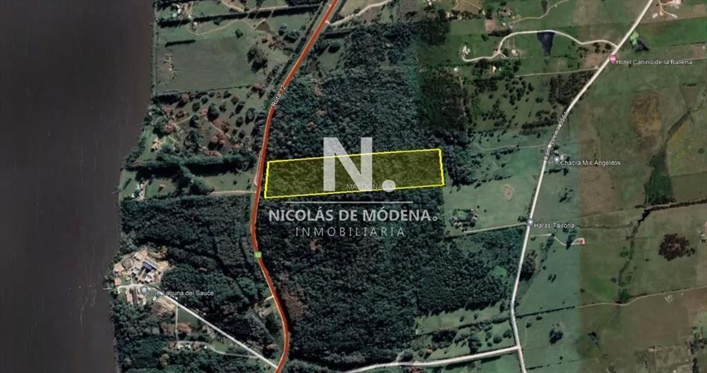 Chacra en Laguna del Sauce, Punta Ballena