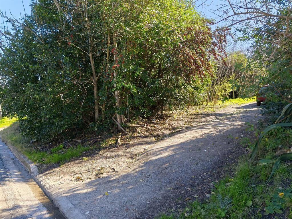 Terreno en Nueva Helvecia