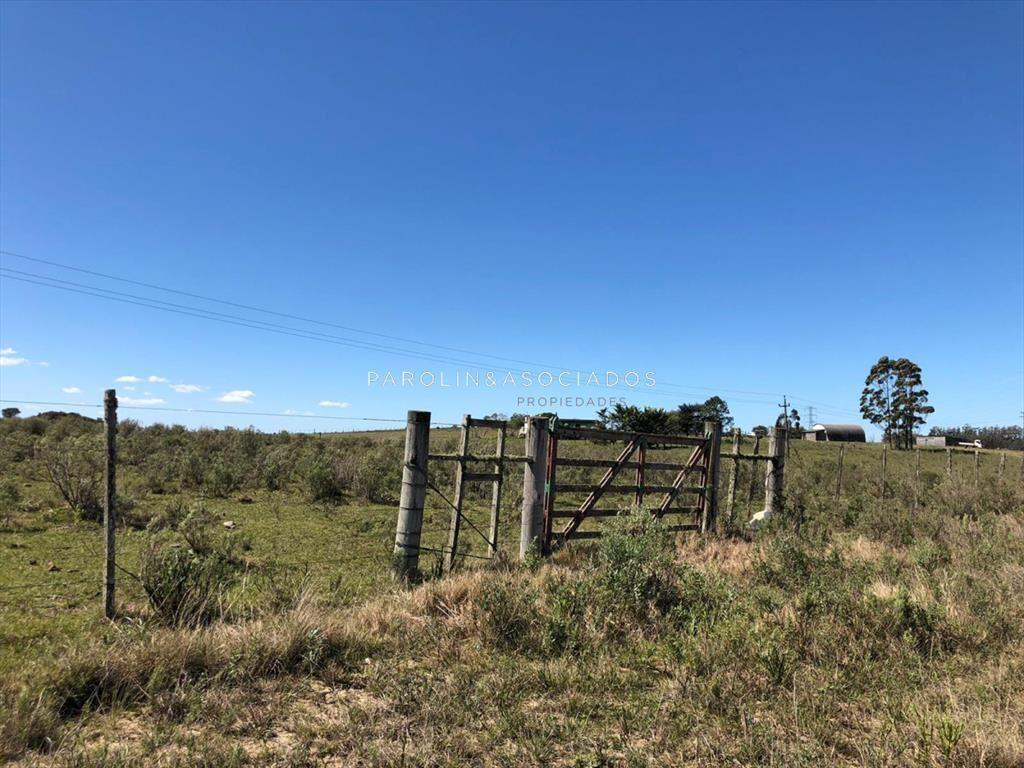 Campo en venta excelente lugar