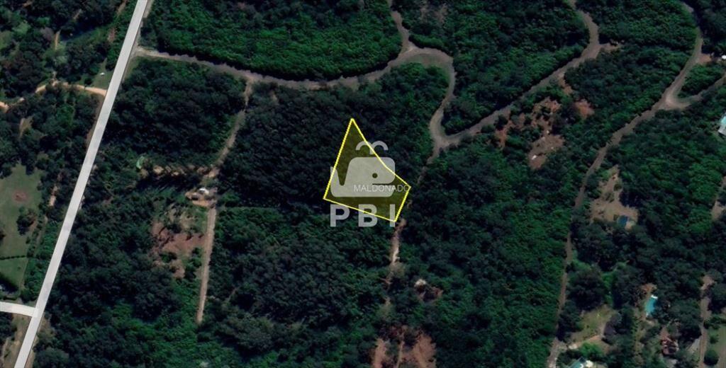 Venta de Lote en Las Cumbres, Punta Ballena - Ref