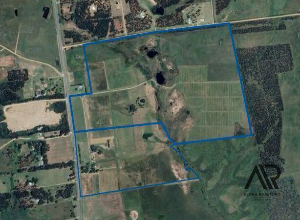 Campo en venta de 69ha ubicado en Atlántida