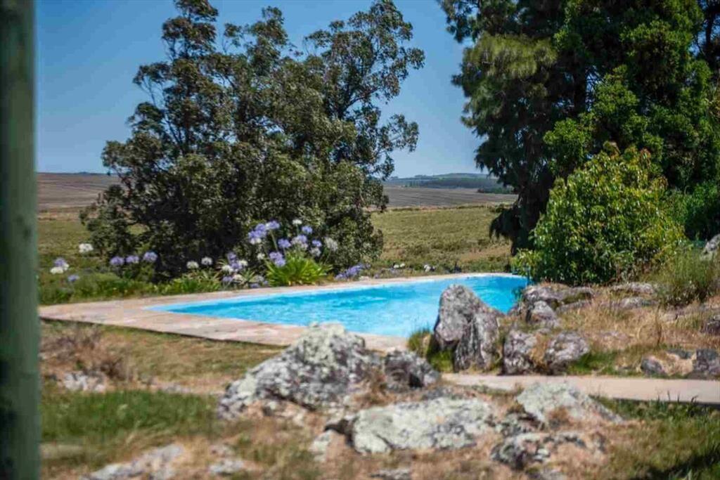 Chacra 20 hectáreas, en venta en laguna del sauce