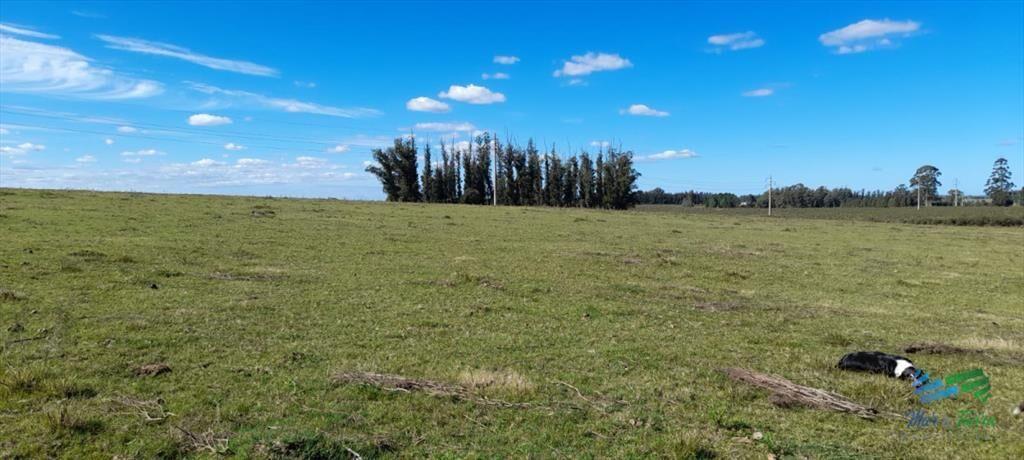 Buen campo agrícola, muy bien ubicado. 83 Has