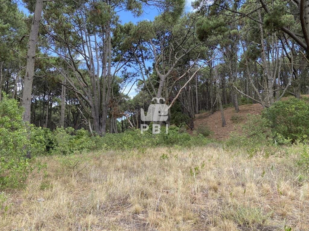 Venta de Terreno en Club del Lago - Ref :