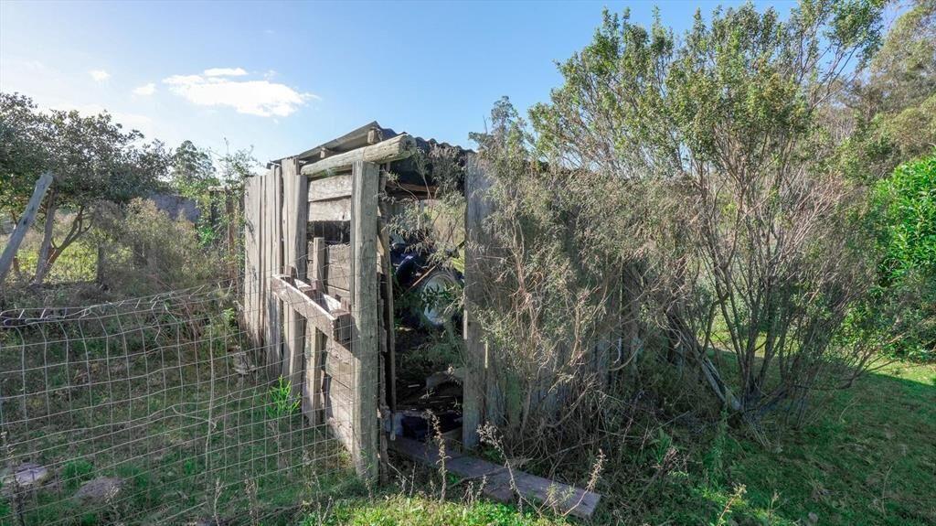 Chacra de 23 Ha en venta sobre Laguna del Sauce Punta del E