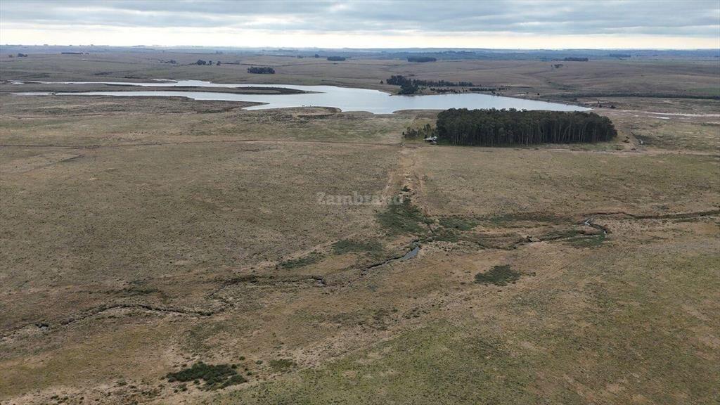Estancia Ganadera Agrícola 1700 ha en Treinta y Tres