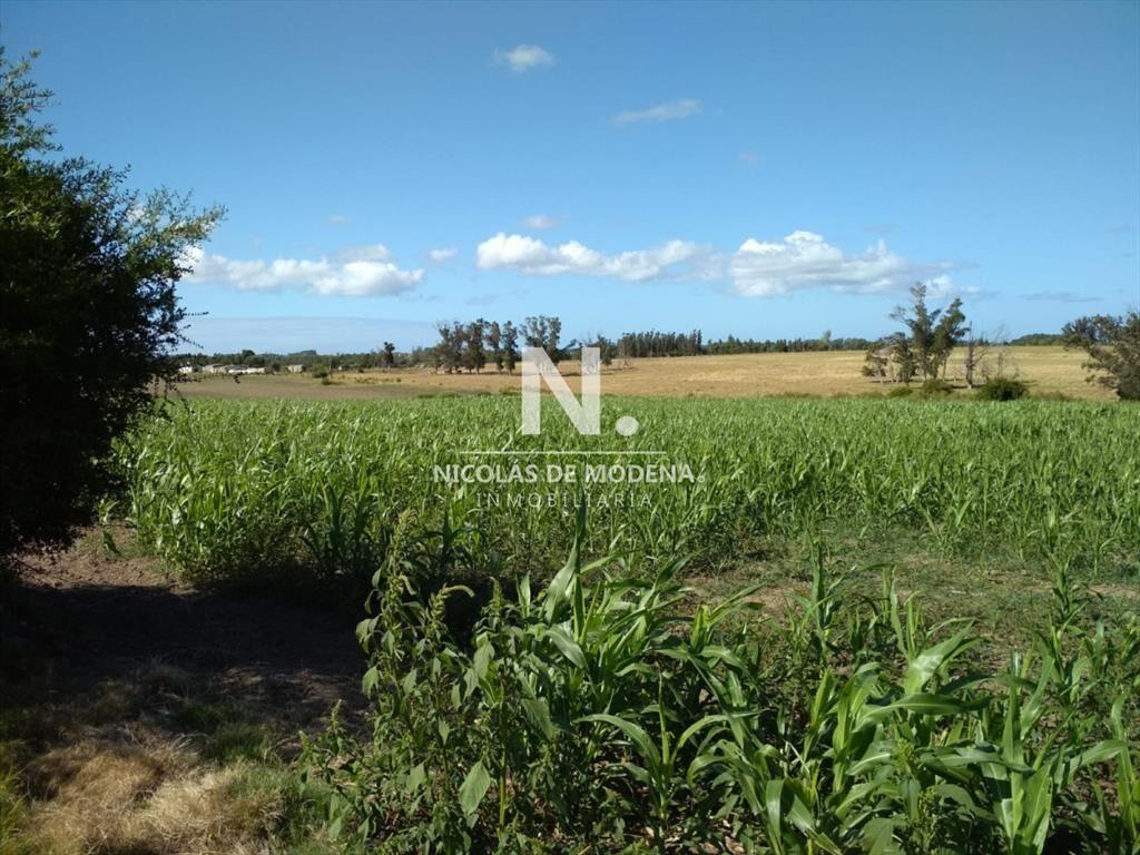 Ruta 104 zona ideal para vivir todo el año