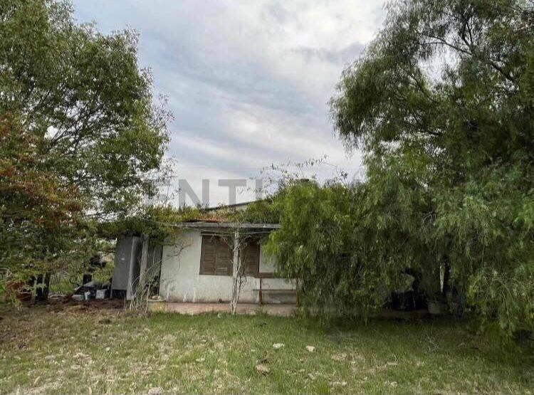 Chacra con casa y galpón en Santa Rosa de 4 hectáreas con...