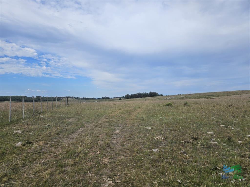 En venta chacra 3 hectareas, proxima ruta 39, a