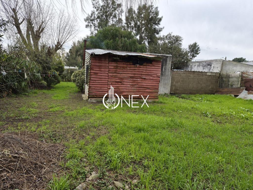 Se vende Casa a reciclar en Pinar Norte