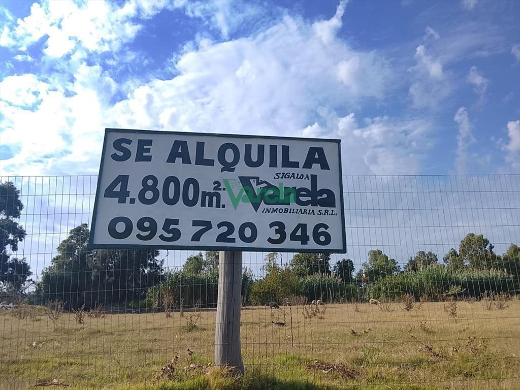 Alquiler de terreno de 4800m2 sobre