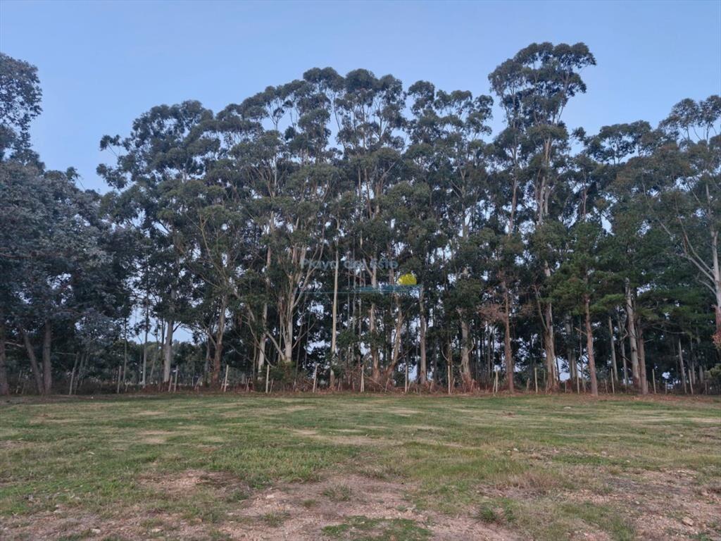 TERRENO EN DON MIGUEL