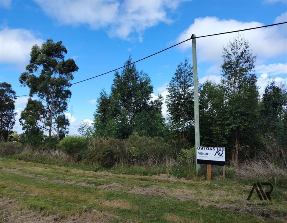 Terreno en venta de 1000m2 ubicado en Barra De Portezuelo