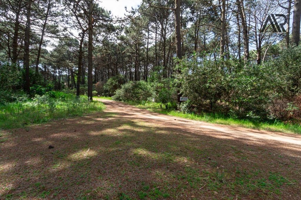 Terreno en venta de 1208m2 ubicado en Solanas