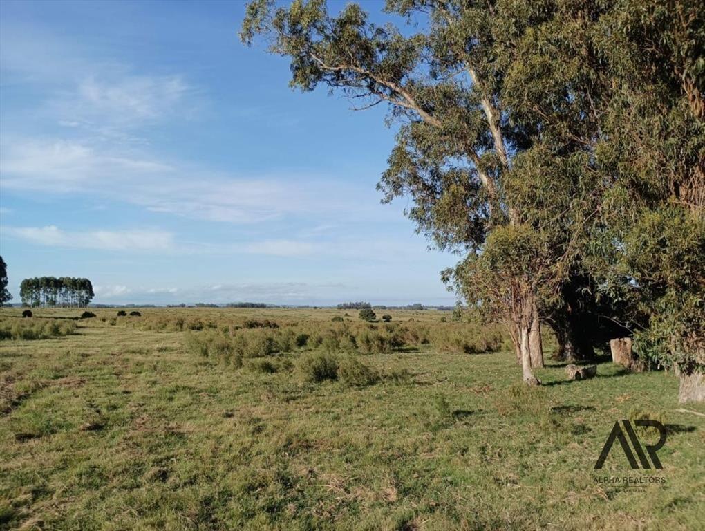 Venta Muy Buen Campo De 78 Hectáreas, Zona Muy Accesible...