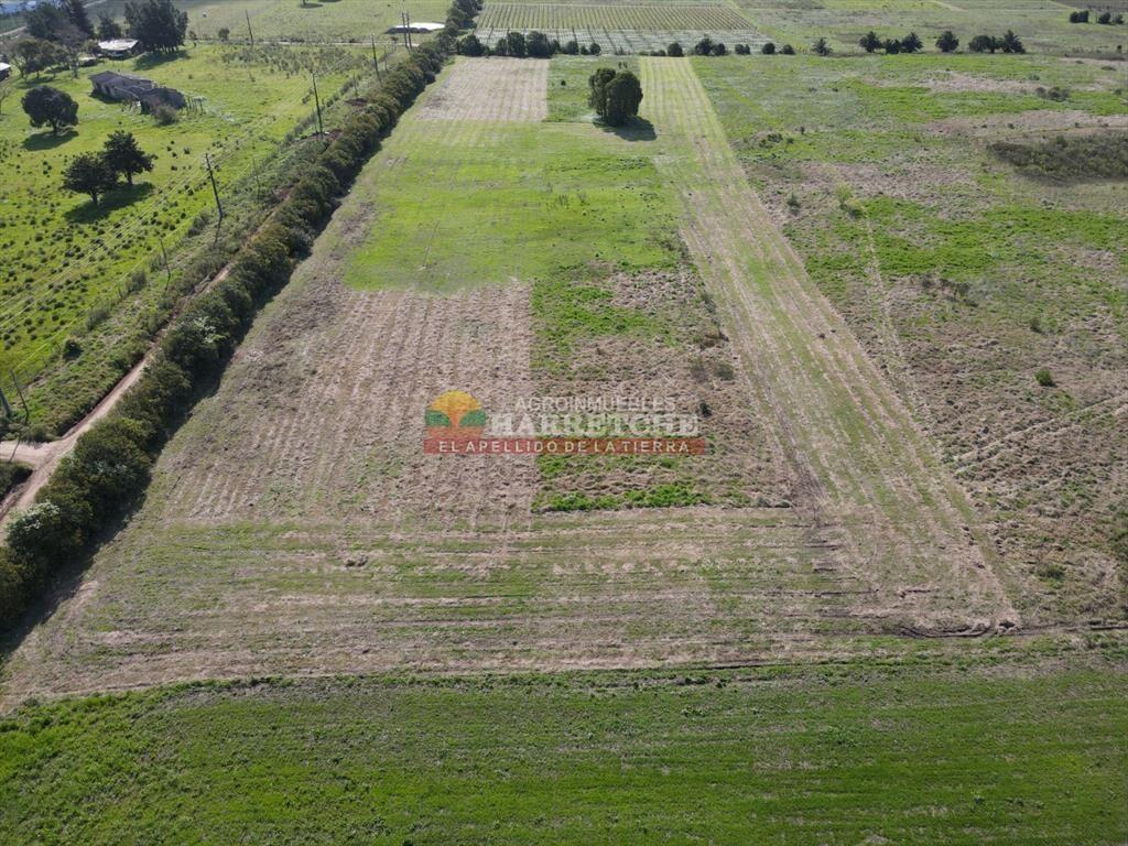 Terrenos en venta en Progreso, fraccionamiento de
