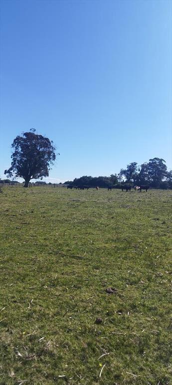 Chacra Paso del Tigre - San Carlos - Maldonado