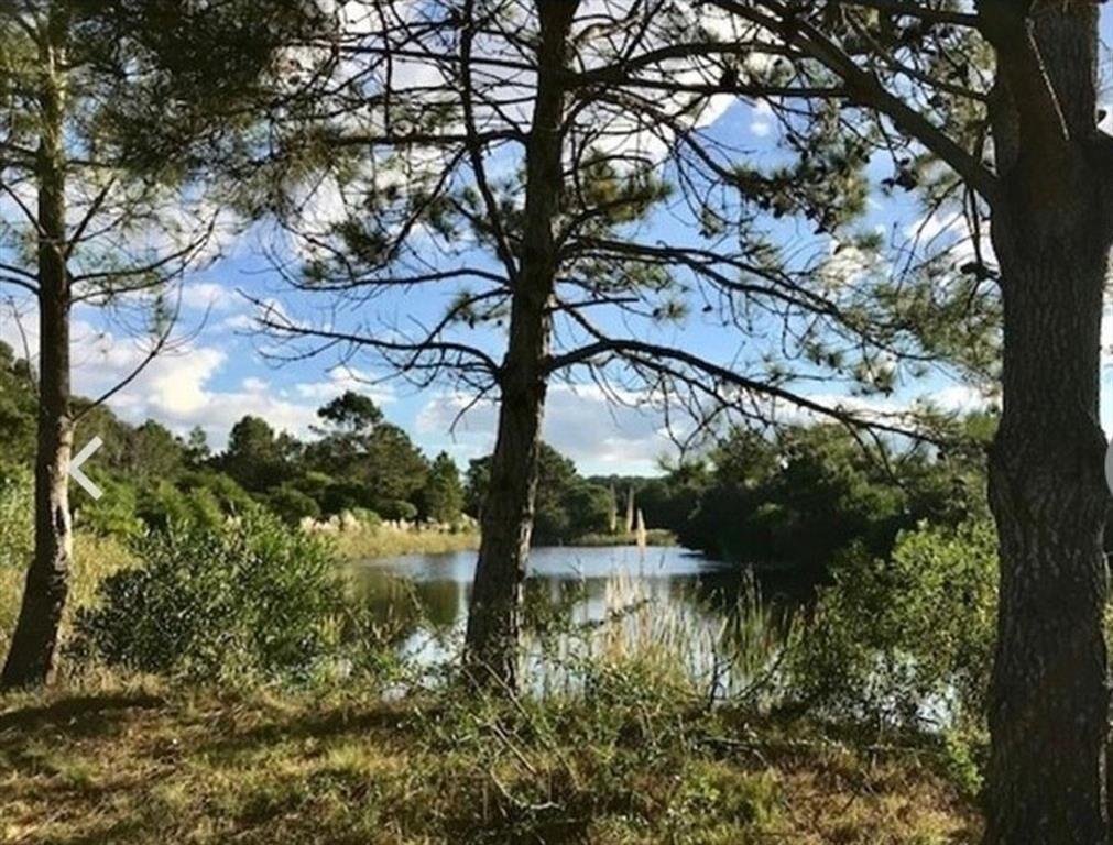 LOTE EN VENTA LA PEDRERA ROCHA