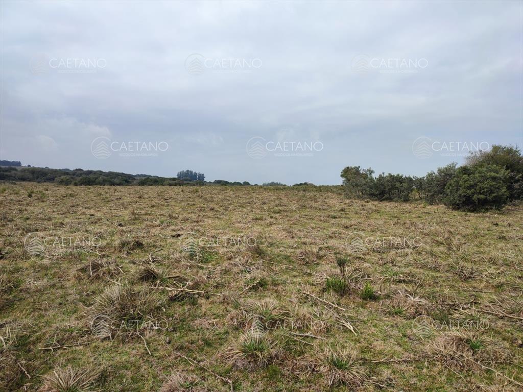 Venta chacra con costa arroyo. Ruta 12 Maldonado