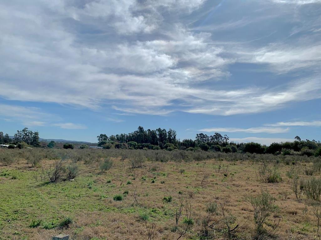 VENTA TERRENO DE 1.27 HECTAREAS EN SAN CARLOS