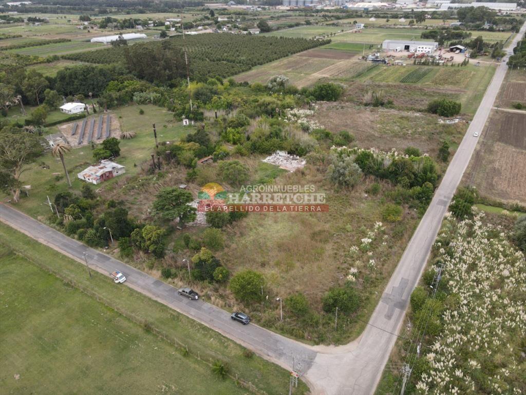 Terreno en Paso de la Arena, 15.789 m2, excelente