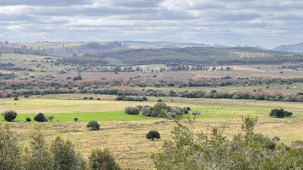 Chacra 5 has en Campanero con buena vistas y