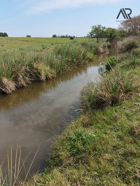 Chacra en venta de 10ha ubicado en San Carlos