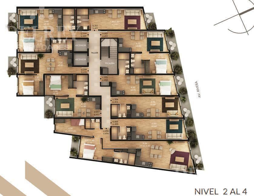 Departamento - Buceo