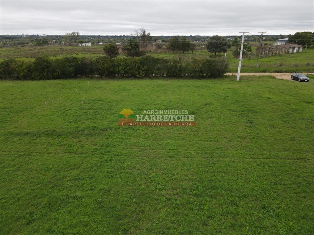 Terreno de 364 m2 en Progreso, Jardín de los (1)
