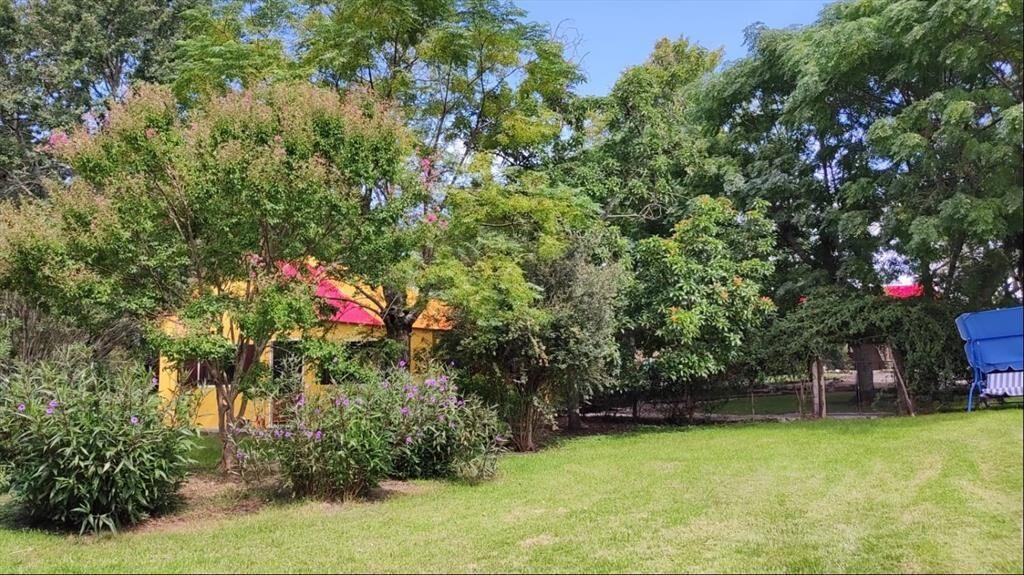 Oportunidad única: chacra de 6 ha con piscina y 6 dormitori