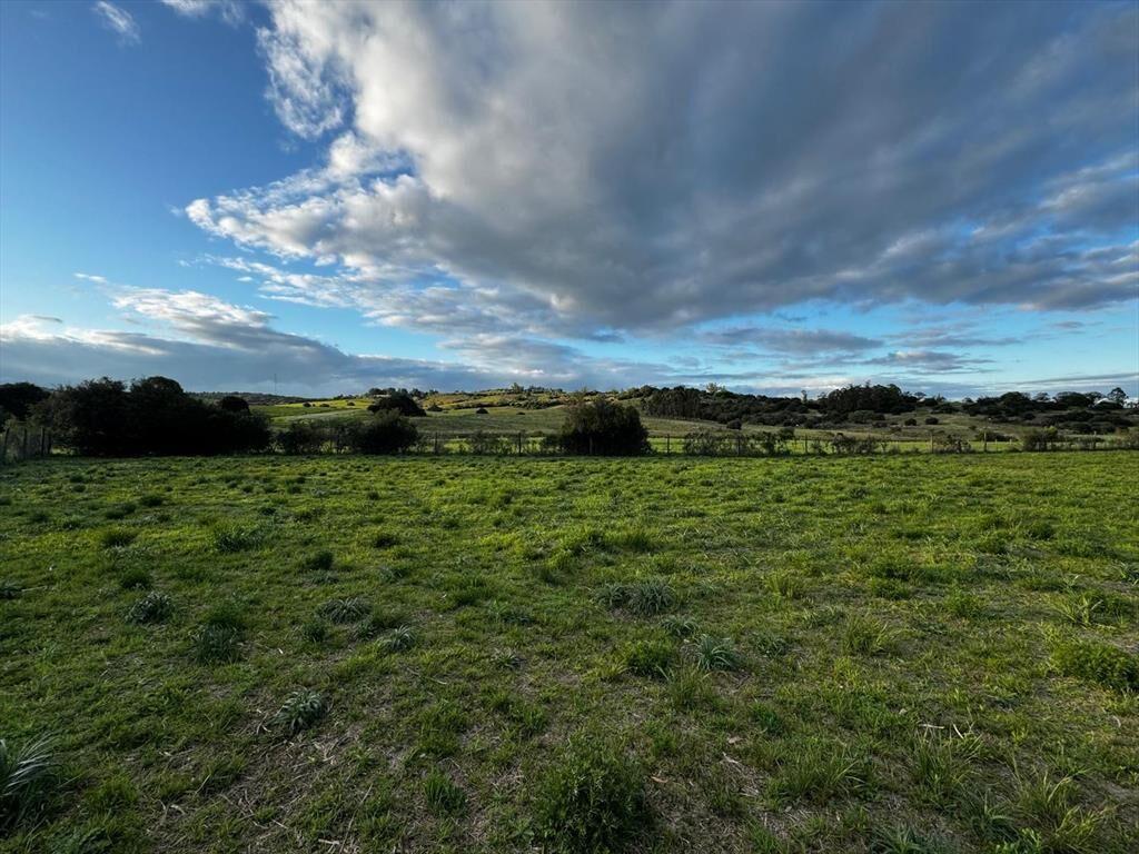 Terreno de 2000mts en venta en Pueblo Edén