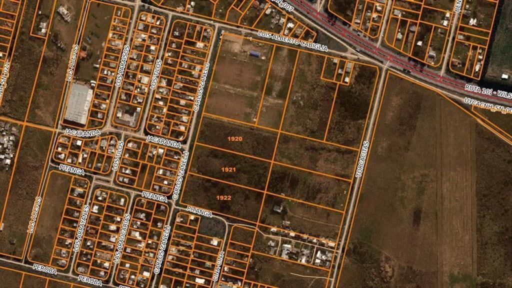 VENTA de terrenos 3 PADRONES en Colonia Nicolich