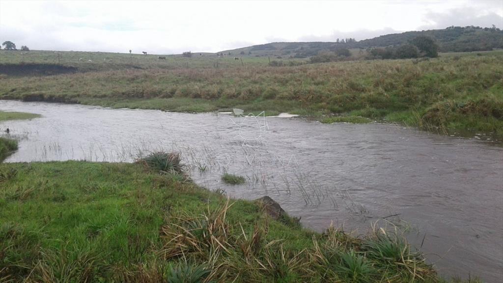 Campo en Lavalleja - 79 has con 8432 m2 -