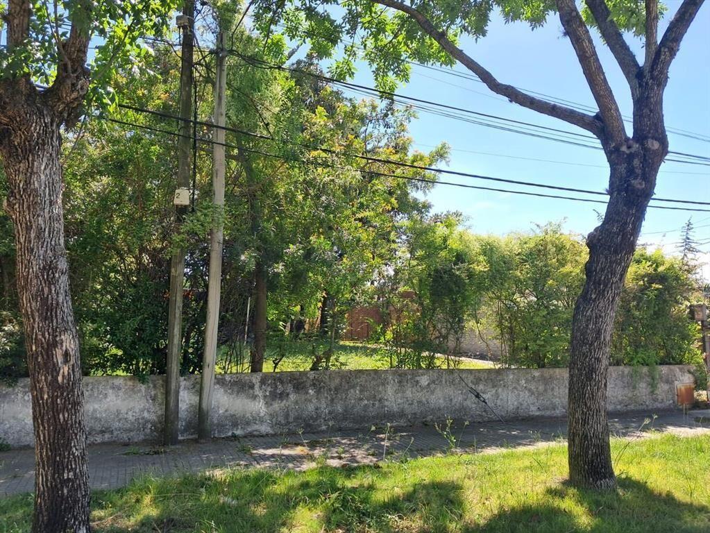 Buen predio, muy lindo entorno, sobre calle Orleans, Carras
