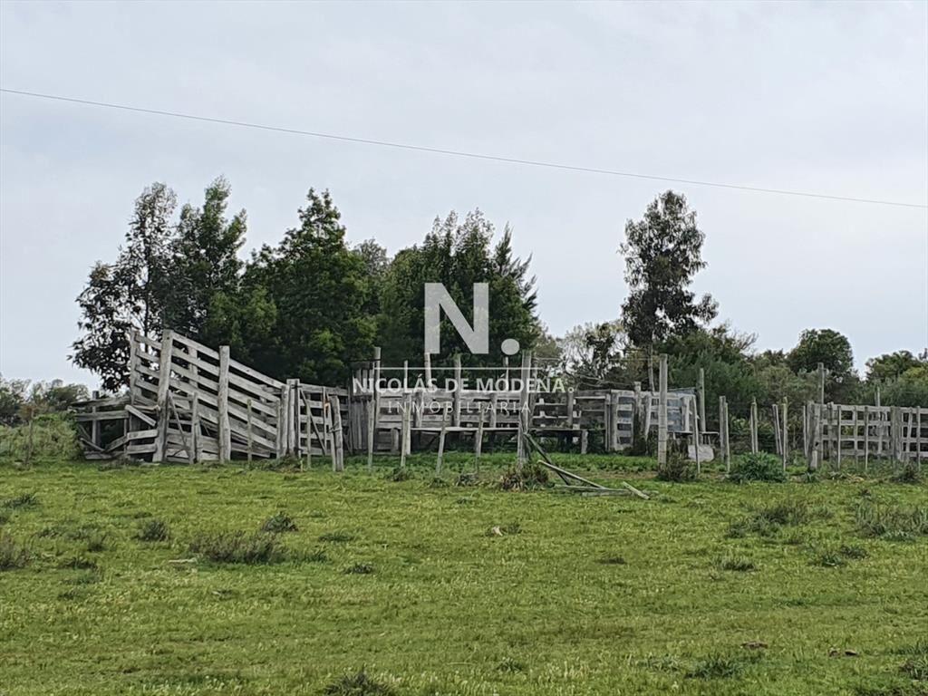 Campo de 54 has en venta en Sauce de Aigua.