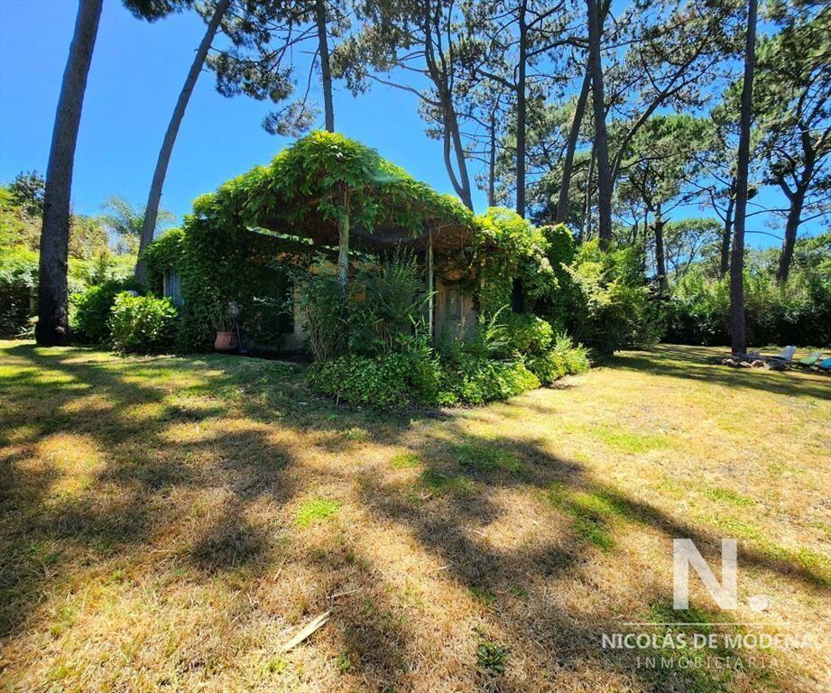 Venta Casa en Portezuelo, zona bosque, Punta Ballena