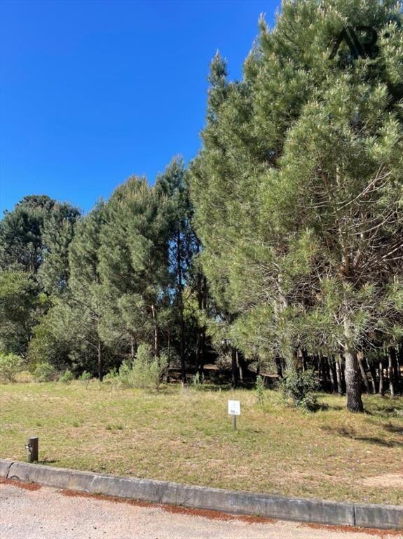 Terreno en Barrio Privado Solanas