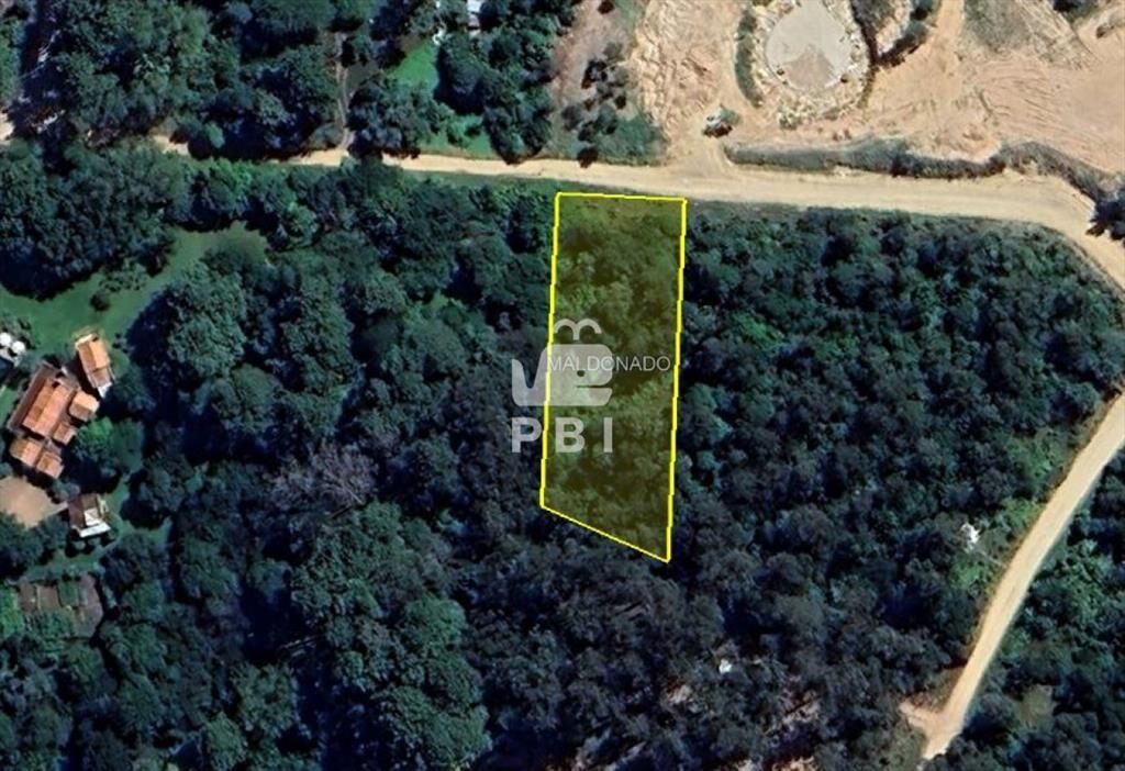 Lotes de 2.500 m en El Golf, Punta del Este